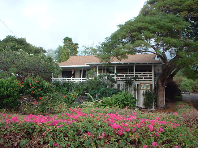 The Seabreeze