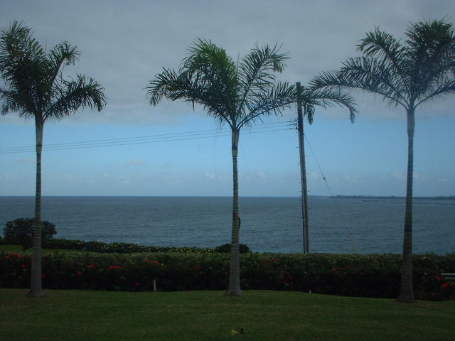 Hilo Dock of the Bay